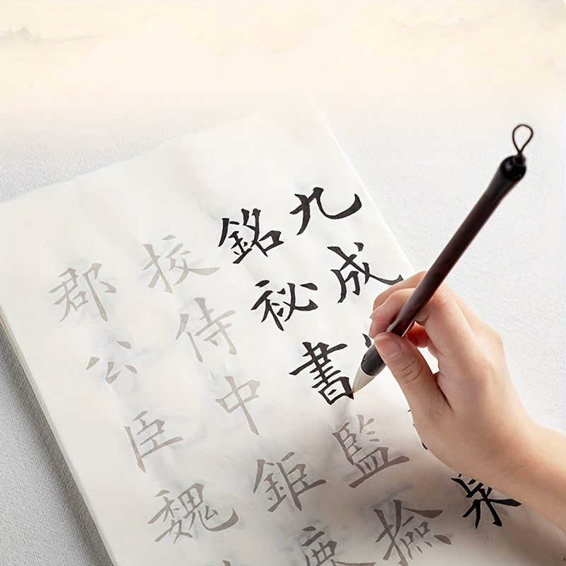 Beginner's Calligraphy Practice Set - Traditional Chinese Script, Regular Script & Cursive Script, Cao Xueqian's "The Thousand Characters Inscription" Copybook with Soft Brush Drawing Paper for Script Writing and Painting