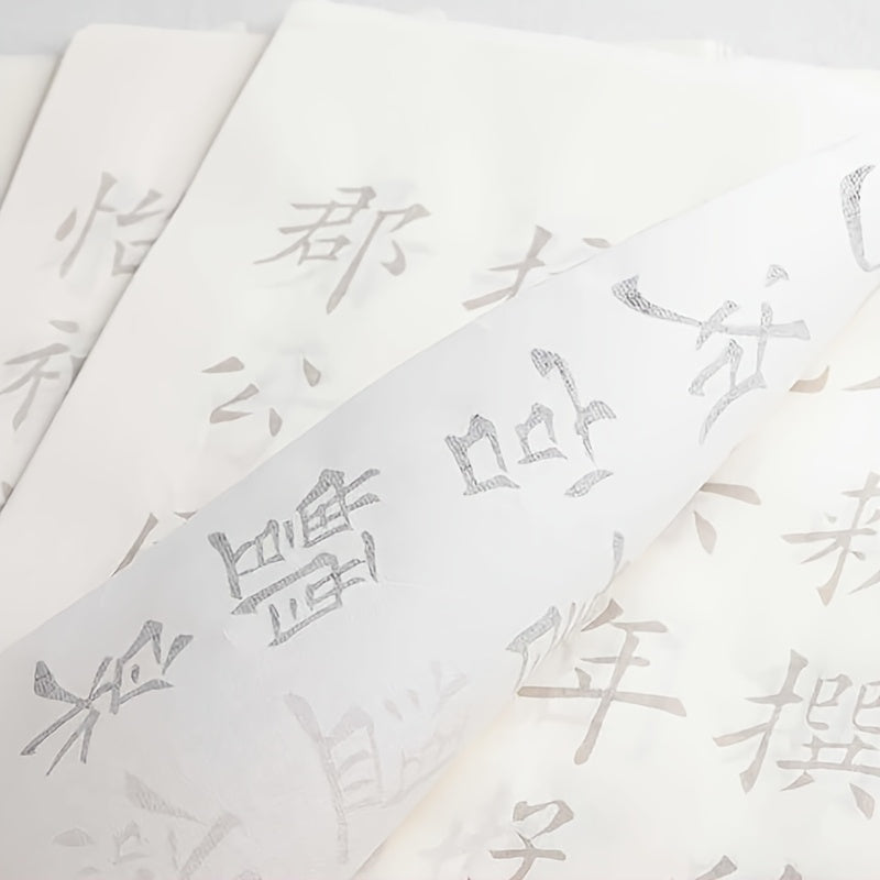 Beginner's Calligraphy Practice Set - Traditional Chinese Script, Regular Script & Cursive Script, Cao Xueqian's "The Thousand Characters Inscription" Copybook with Soft Brush Drawing Paper for Script Writing and Painting